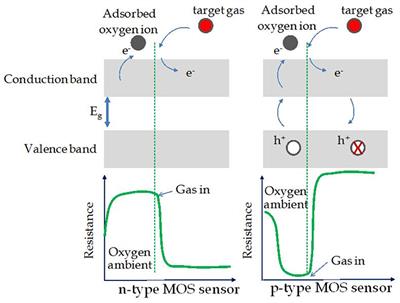 Review: Influences of Semiconductor Metal Oxide Properties on Gas Sensing Characteristics